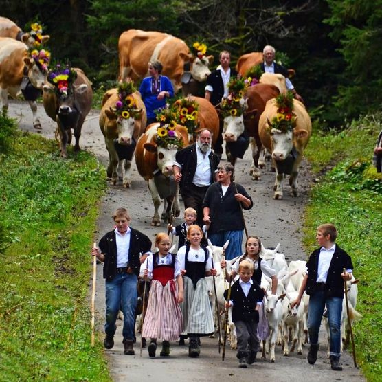 Kinder laufen vor Kühen im Albabzug durchs grüne Suldtal