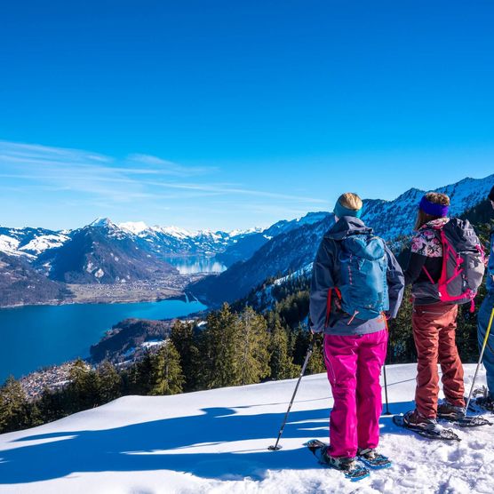 Drei Wanderer blicken beim Schneeschuhlaufen auf den blauen Thunersee