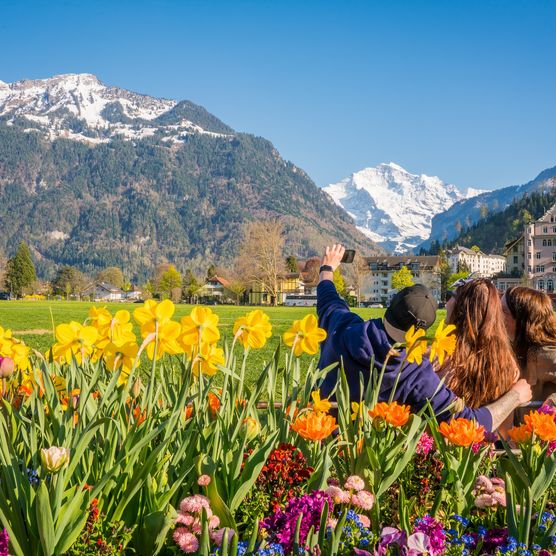 Freunde beim Fotografieren auf der Höhematte an einem herrlichen Frühlingstag