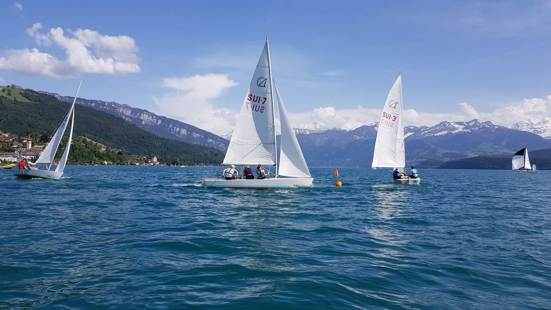 Segeln Thunersee 