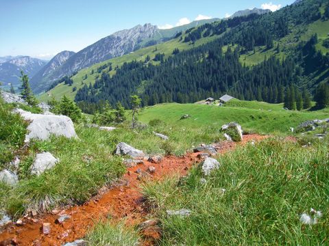 Kraftort rote Quellen fliessen durch grüne Alpwiese im Naturpark Diemtigtal