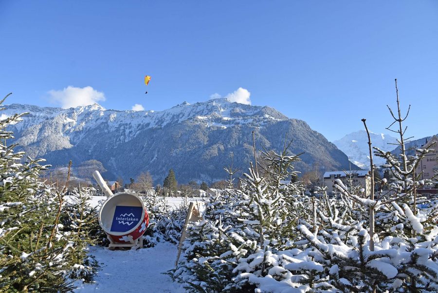 Im schneebedeckten Winterlaken Labyrinth ist ein grosser Findue Caquelon aufgestellt und am blauen Himmel zieht ein Paraglider seine Kreise.