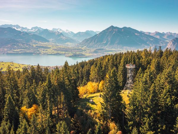 Blueme-Turm Sigriswil im Herbst mit Ausblick Luftaufnahme vom Aussichtsturm Blueme in Sigriswil mit Blick auf den Thunersee