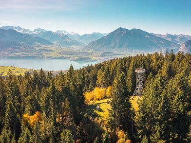 Luftaufnahme vom Aussichtsturm Blueme in Sigriswil mit Blick auf den Thunersee