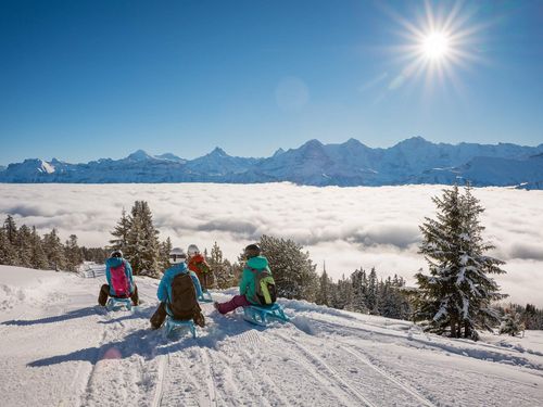 Schlittelpiste über dem Nebelmeer auf dem verschneiten Niederhorn mit Bergketten im Hintergrund