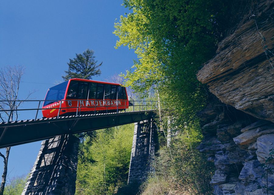 Harderbahn fährt über Bricke Richtung Wald im Sommer