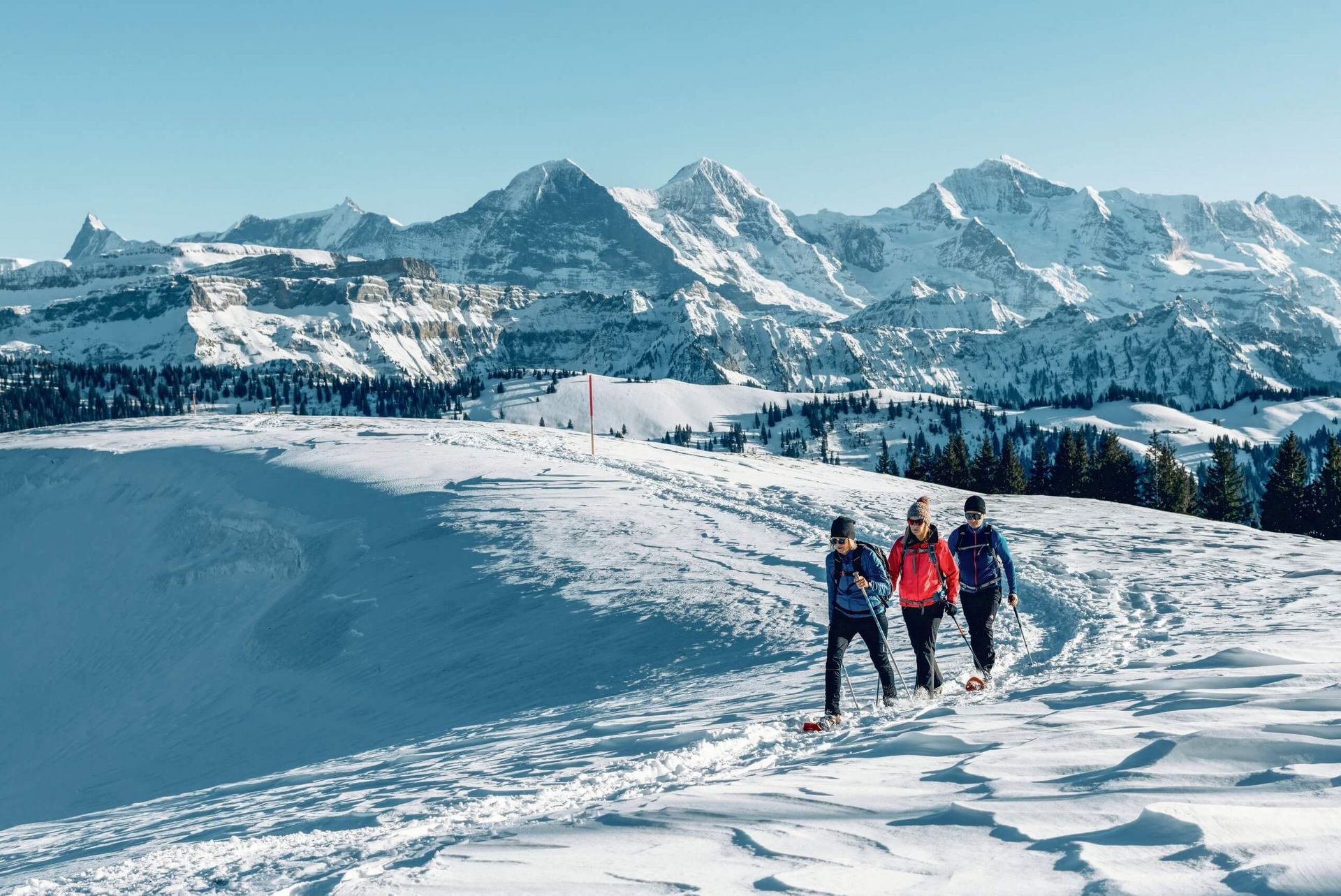 Winterwandern Beatenberg