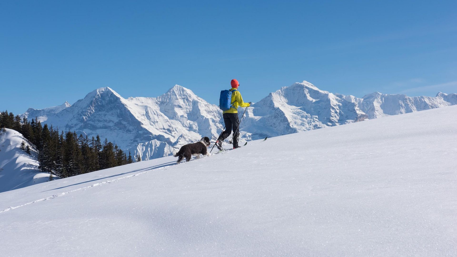 Winterexpedition mit Thomas Ulrich auf der Lombachalp