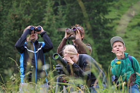 Kinder während der Umweltbildung im Naturpark Diemtigtal. Mit Ferngläsern ausgestattet beobachten sie die Natur.