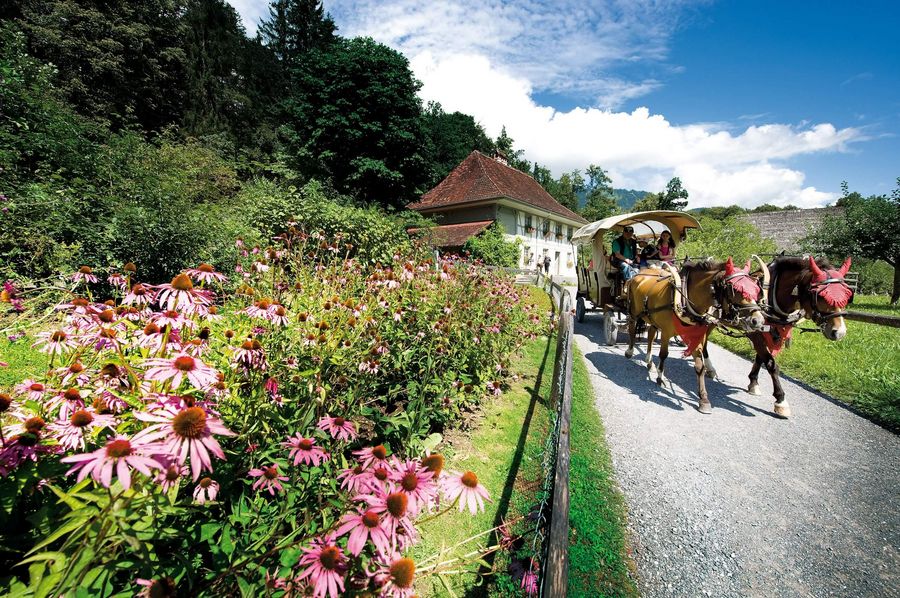Kutsche fährt vorbei an blühendem Garten mit Blumen im Freilichtmuseum Ballenberg